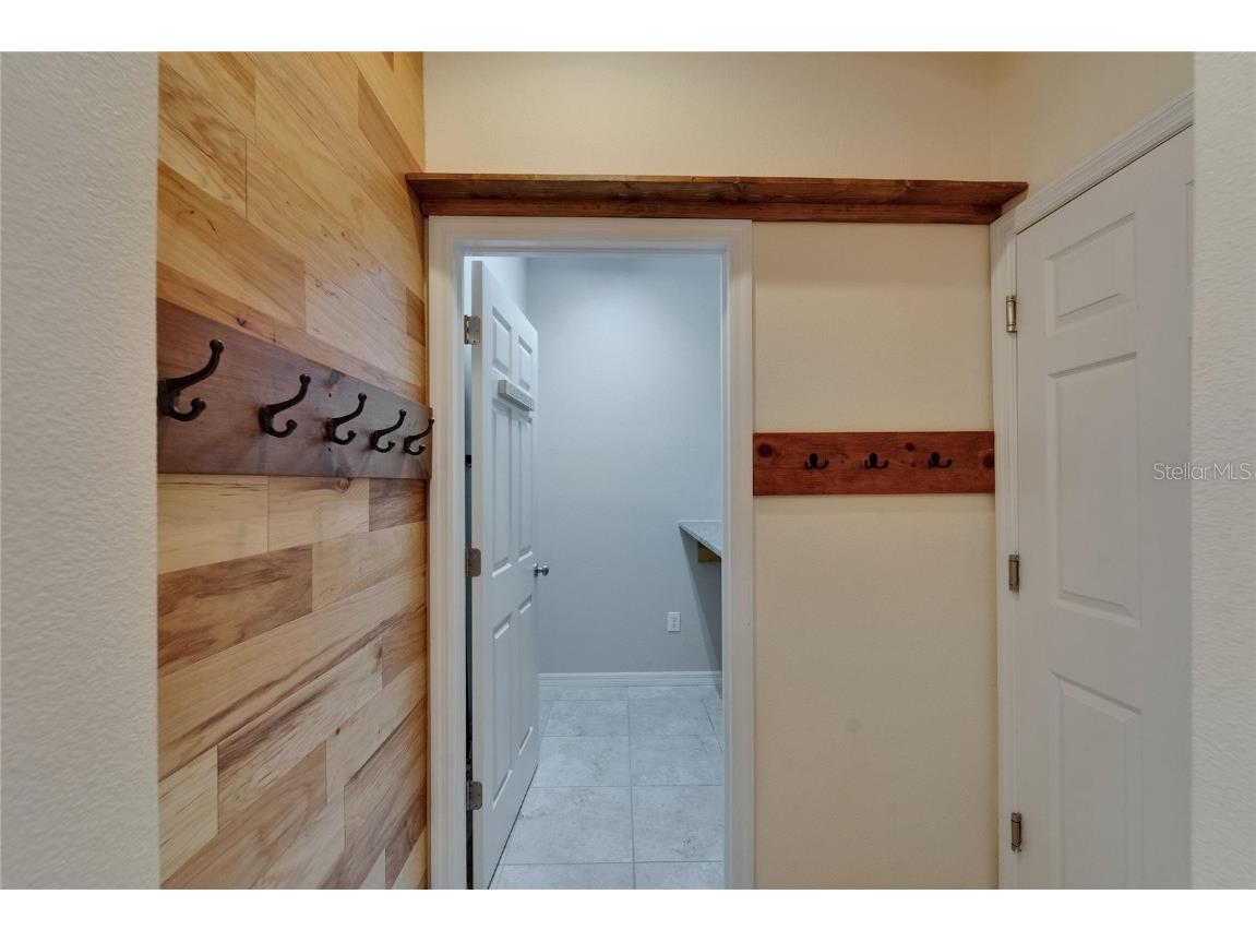 17510 Bright Wheat Drive Lithia FL 33547 TB8387052 image12