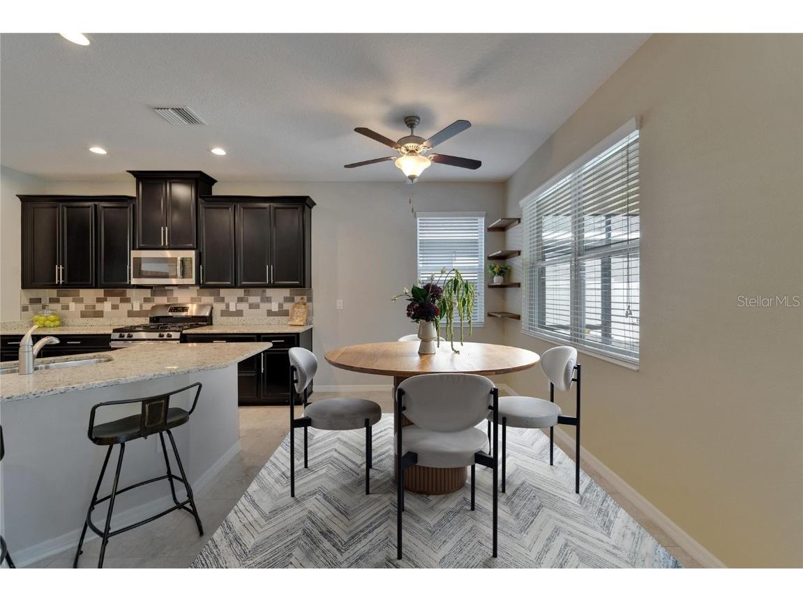 17510 Bright Wheat Drive Lithia FL 33547 TB8387052 image18