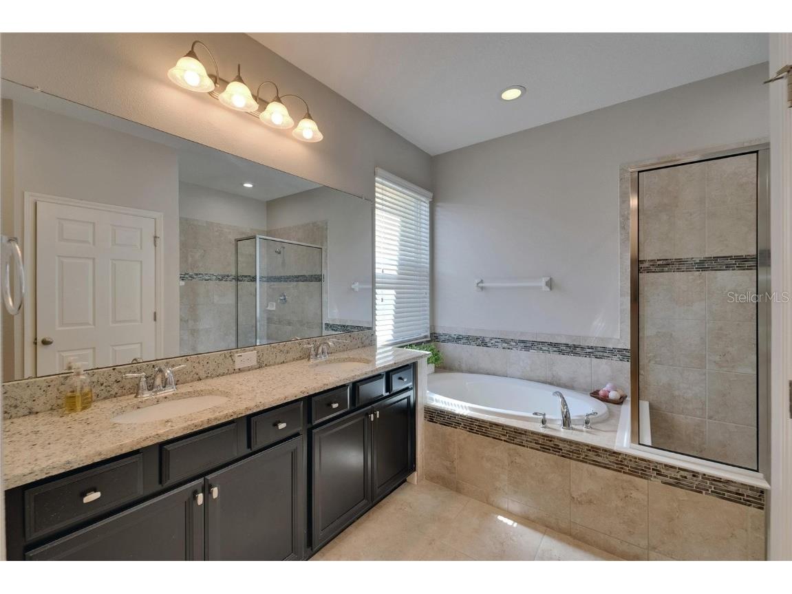 17510 Bright Wheat Drive Lithia FL 33547 TB8387052 image29