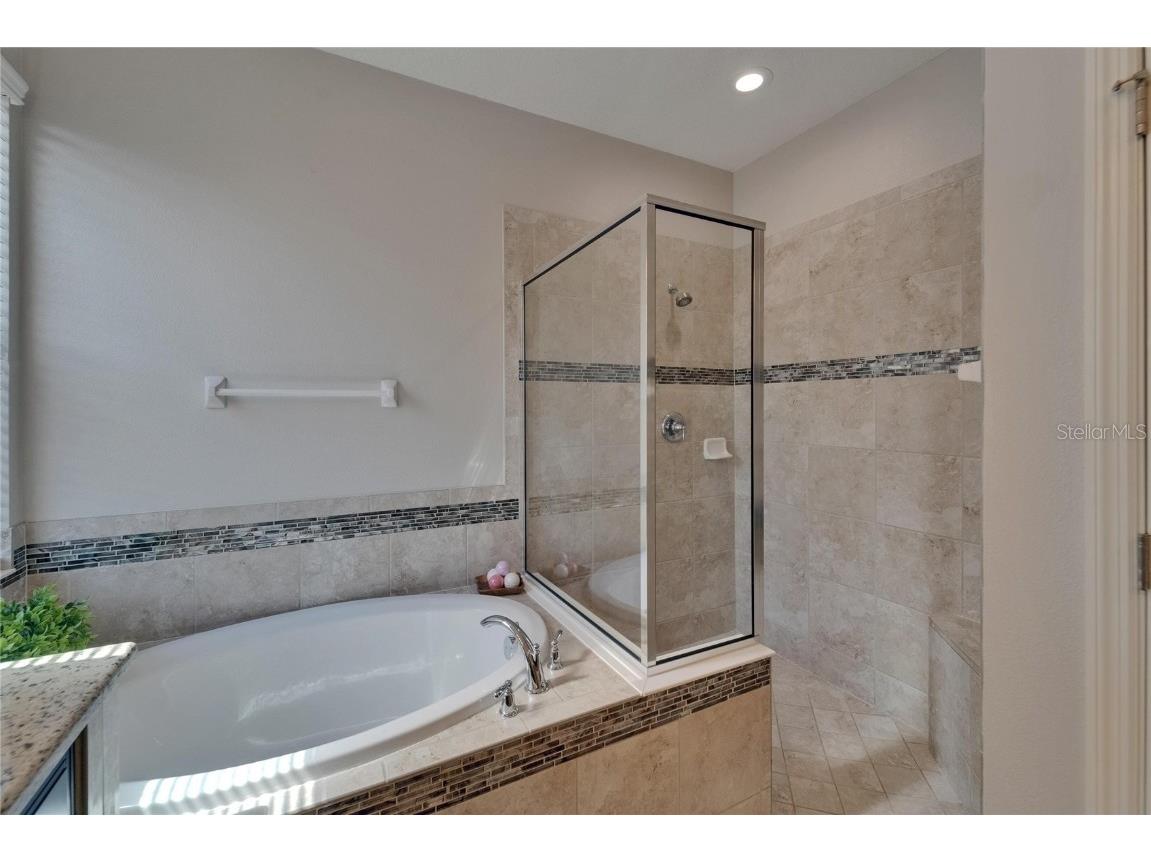 17510 Bright Wheat Drive Lithia FL 33547 TB8387052 image30