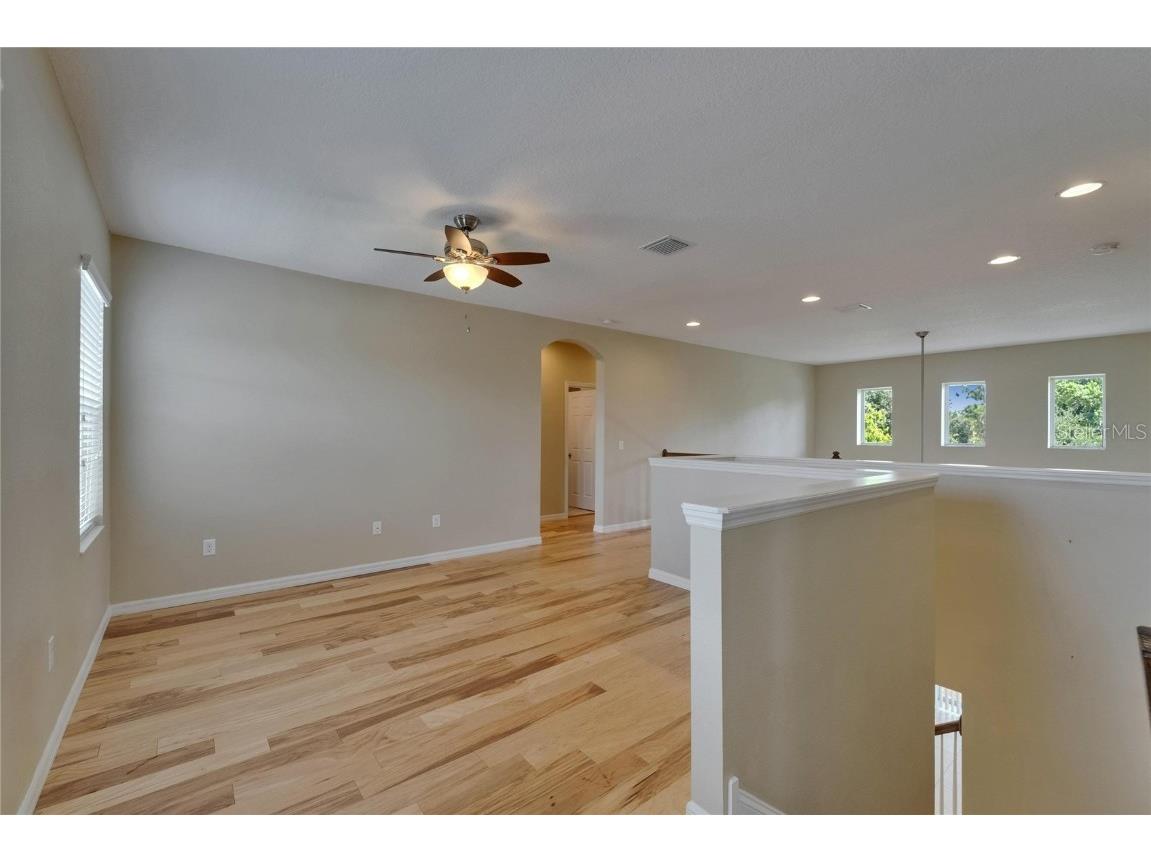 17510 Bright Wheat Drive Lithia FL 33547 TB8387052 image38