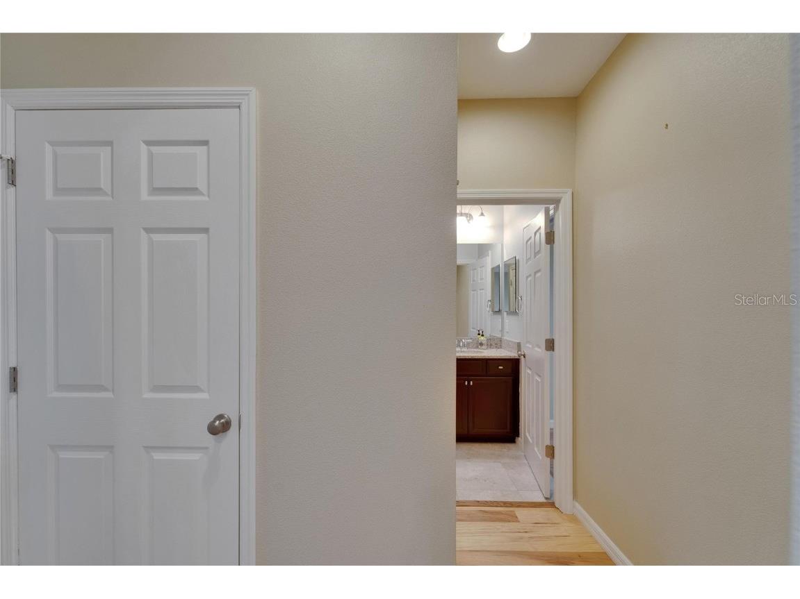 17510 Bright Wheat Drive Lithia FL 33547 TB8387052 image43