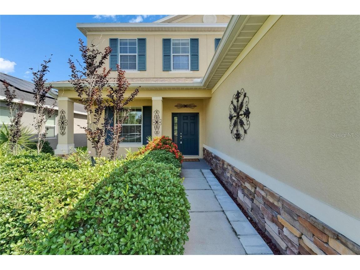 17510 Bright Wheat Drive Lithia FL 33547 TB8387052 image5