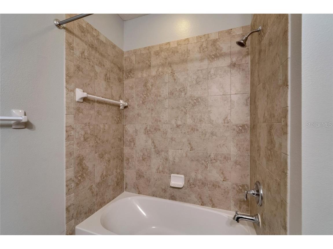 17510 Bright Wheat Drive Lithia FL 33547 TB8387052 image52