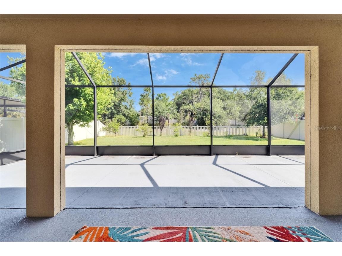 17510 Bright Wheat Drive Lithia FL 33547 TB8387052 image58