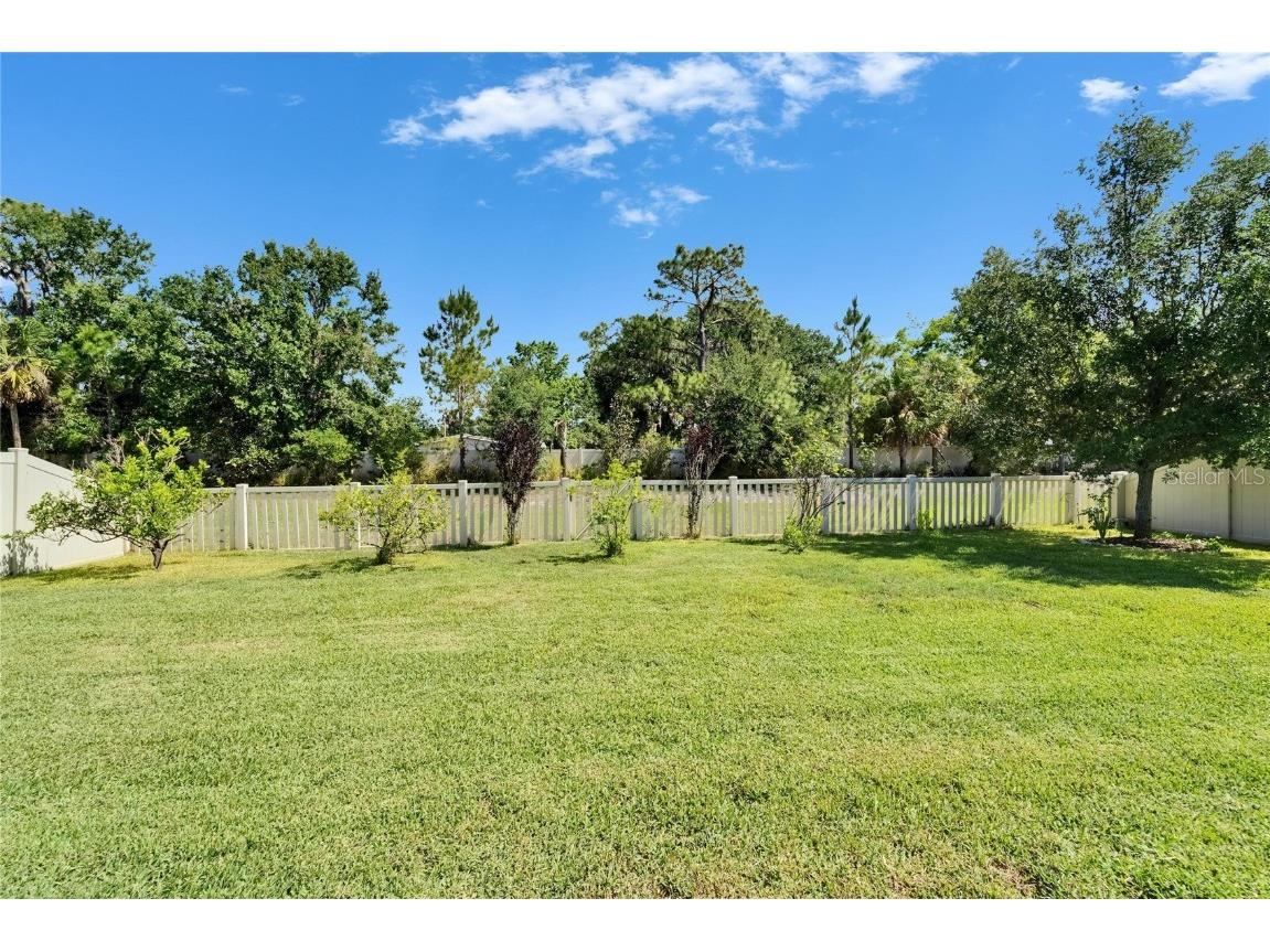 17510 Bright Wheat Drive Lithia FL 33547 TB8387052 image63