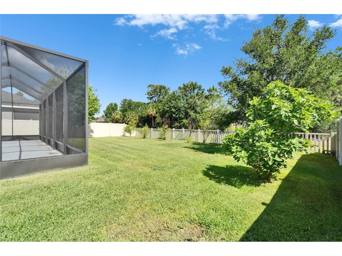 17510 Bright Wheat Drive Lithia FL 33547 TB8387052 image66