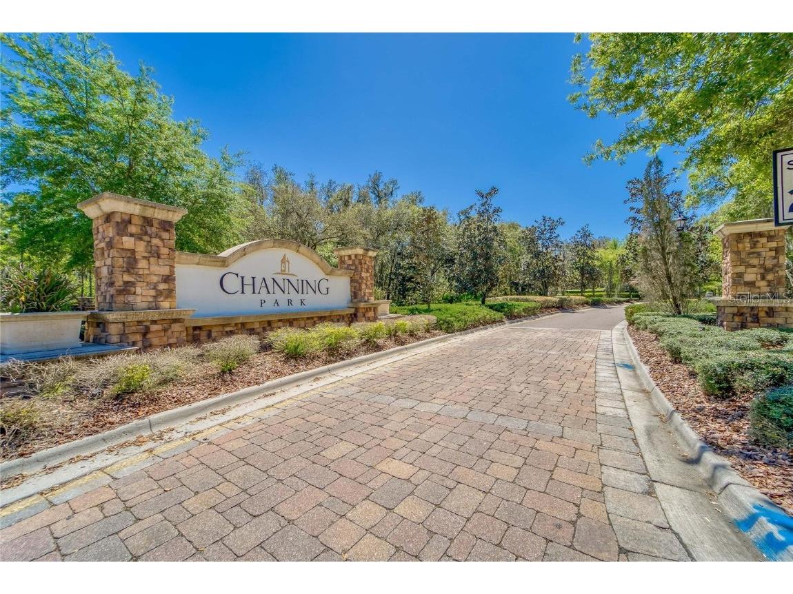 17510 Bright Wheat Drive Lithia FL 33547 TB8387052 image67