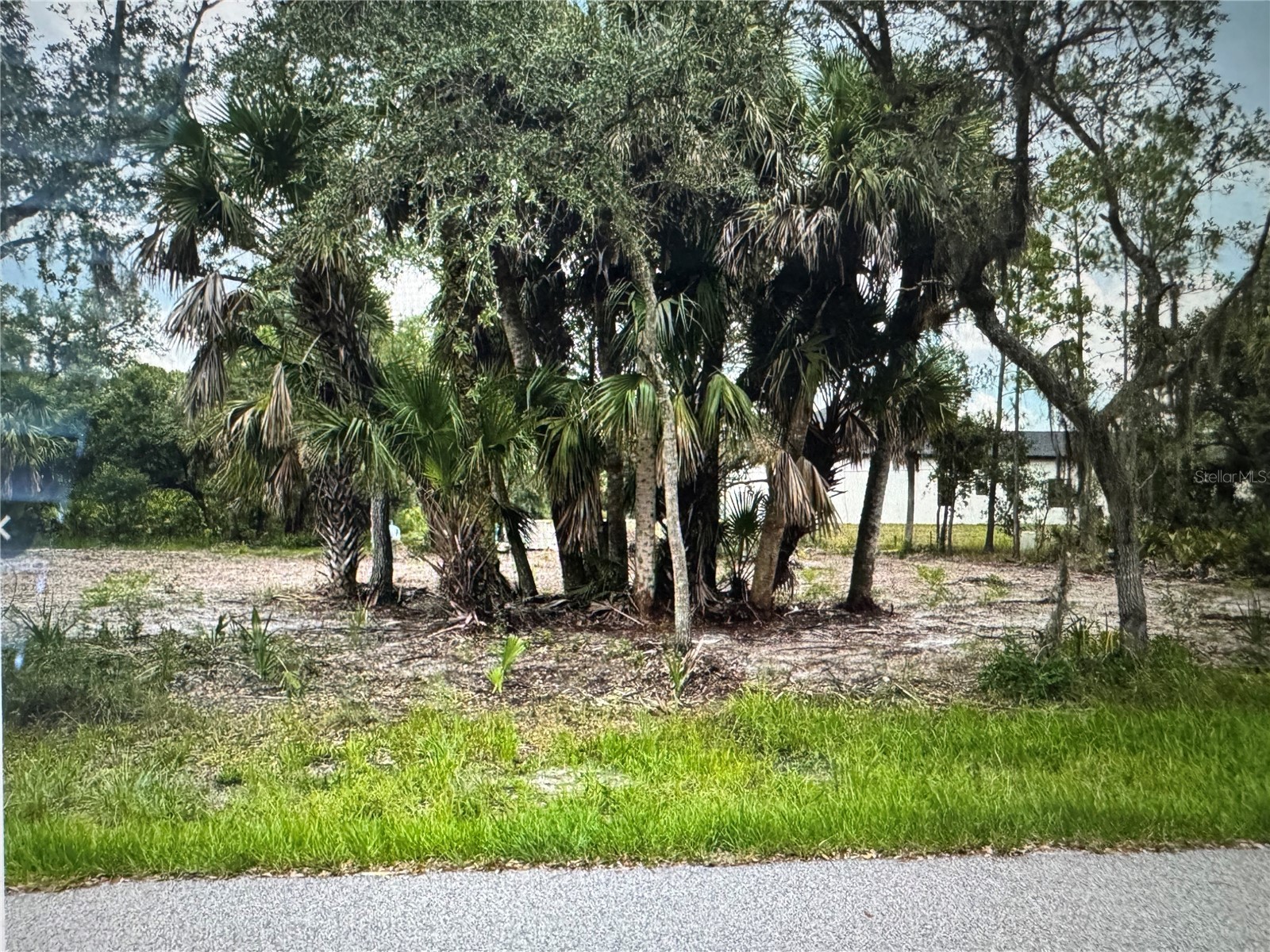 17512 Billiar Avenue Port Charlotte FL 33948 C7524954 image2