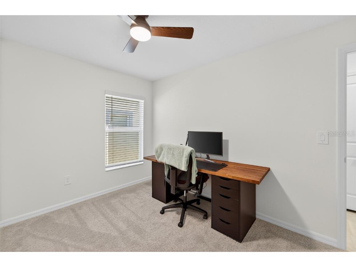 17512 Shirewood Way Land O Lakes FL 34638 TB8454449 image20