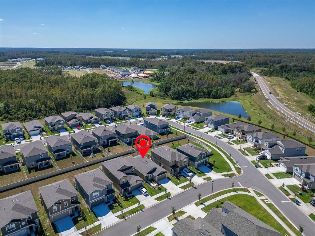 17512 Shirewood Way Land O Lakes FL 34638 TB8454449 image22