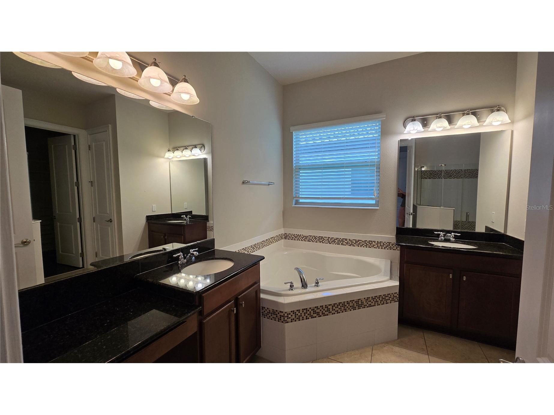 17514 Black Rail Street Windermere FL 34786 O6410722 image16