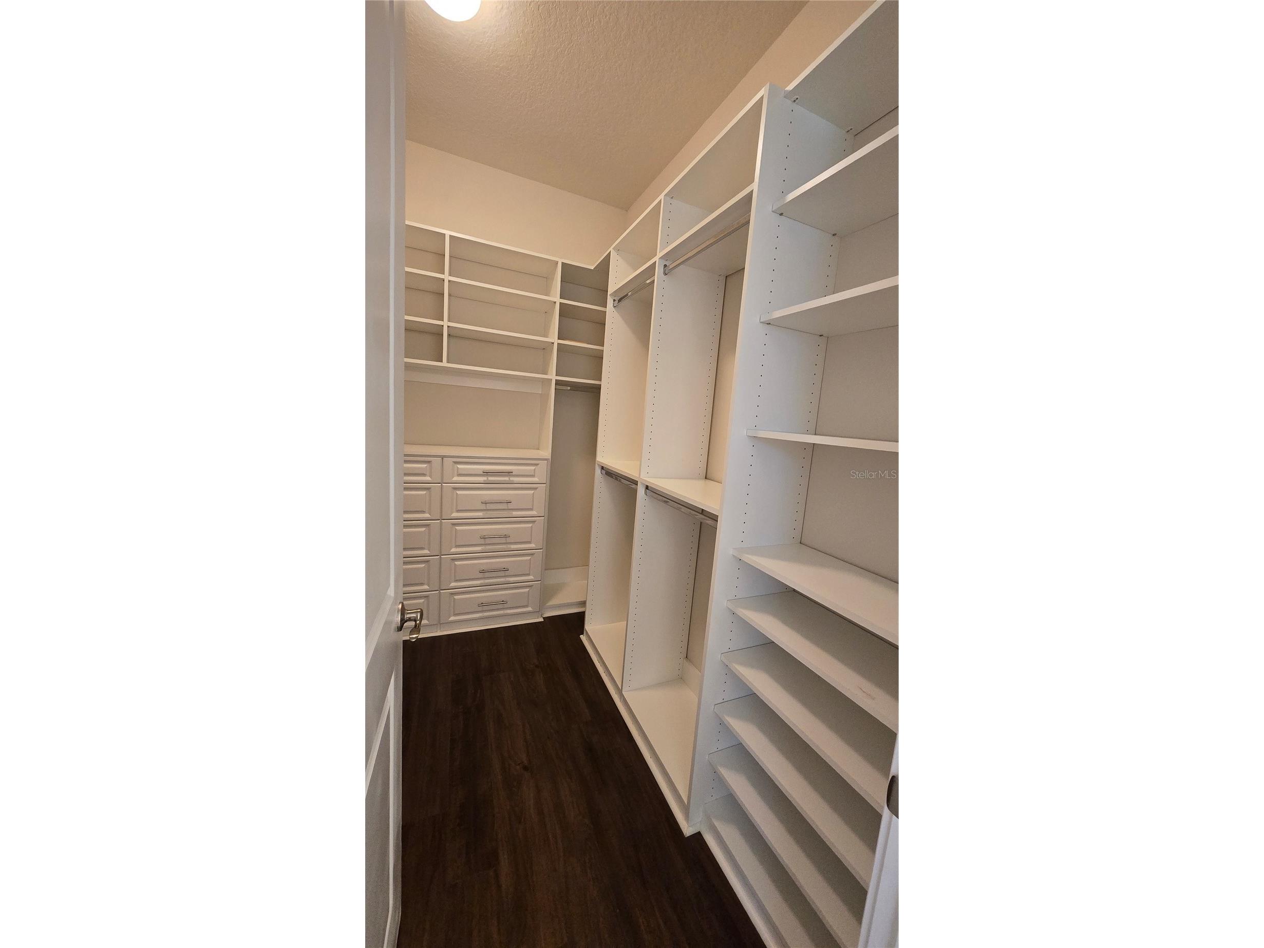 17514 Black Rail Street Windermere FL 34786 O6410722 image17