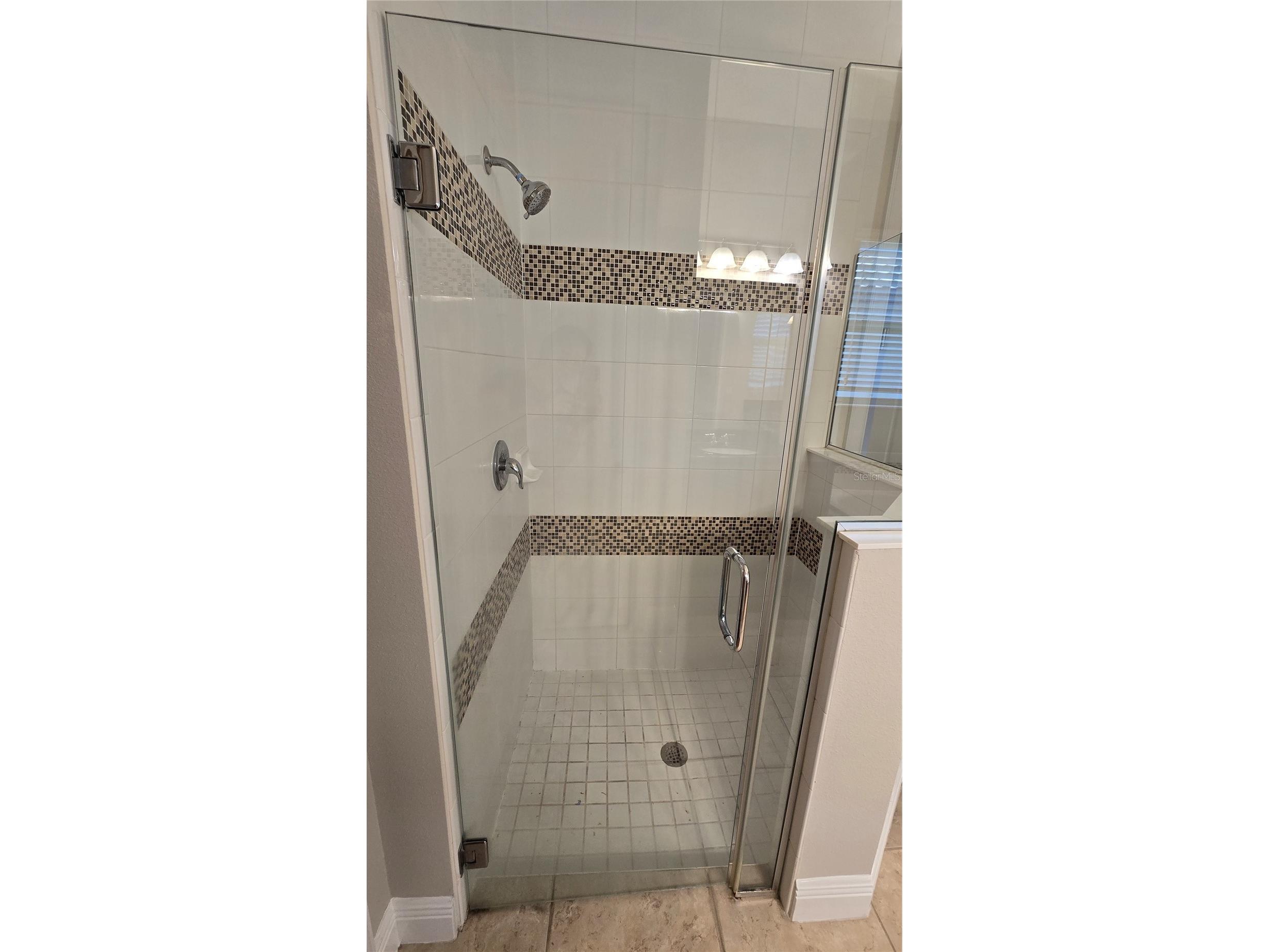 17514 Black Rail Street Windermere FL 34786 O6410722 image18