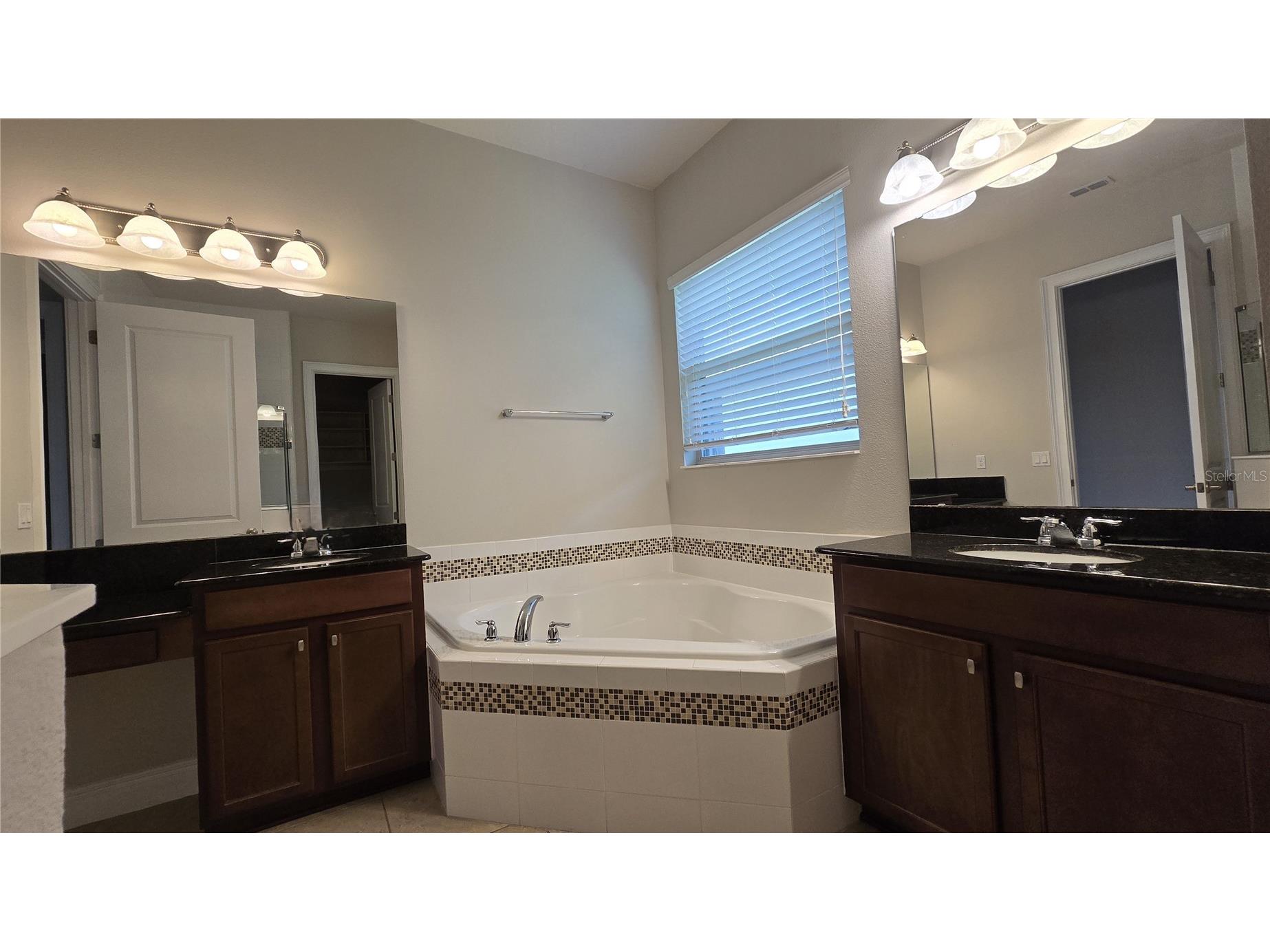 17514 Black Rail Street Windermere FL 34786 O6410722 image19
