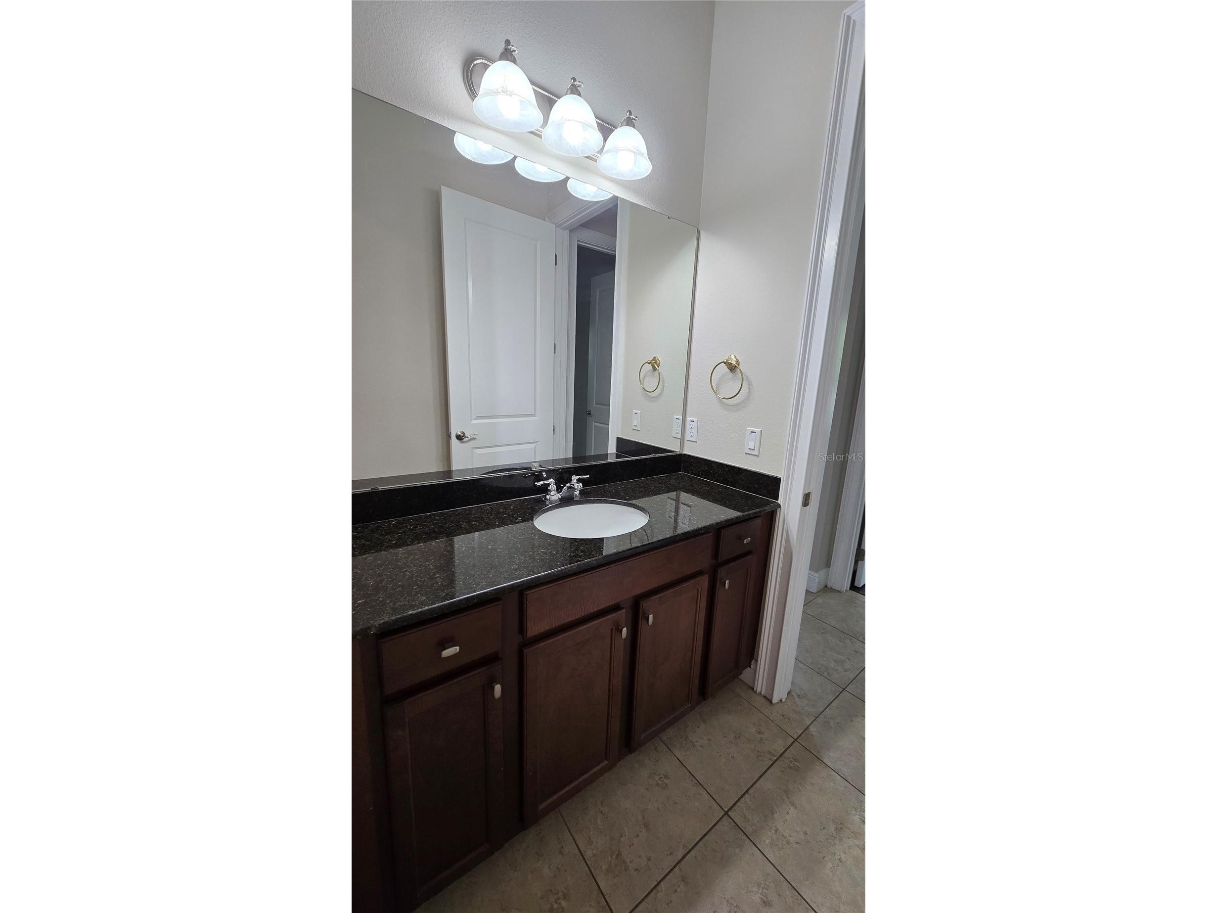 17514 Black Rail Street Windermere FL 34786 O6410722 image25