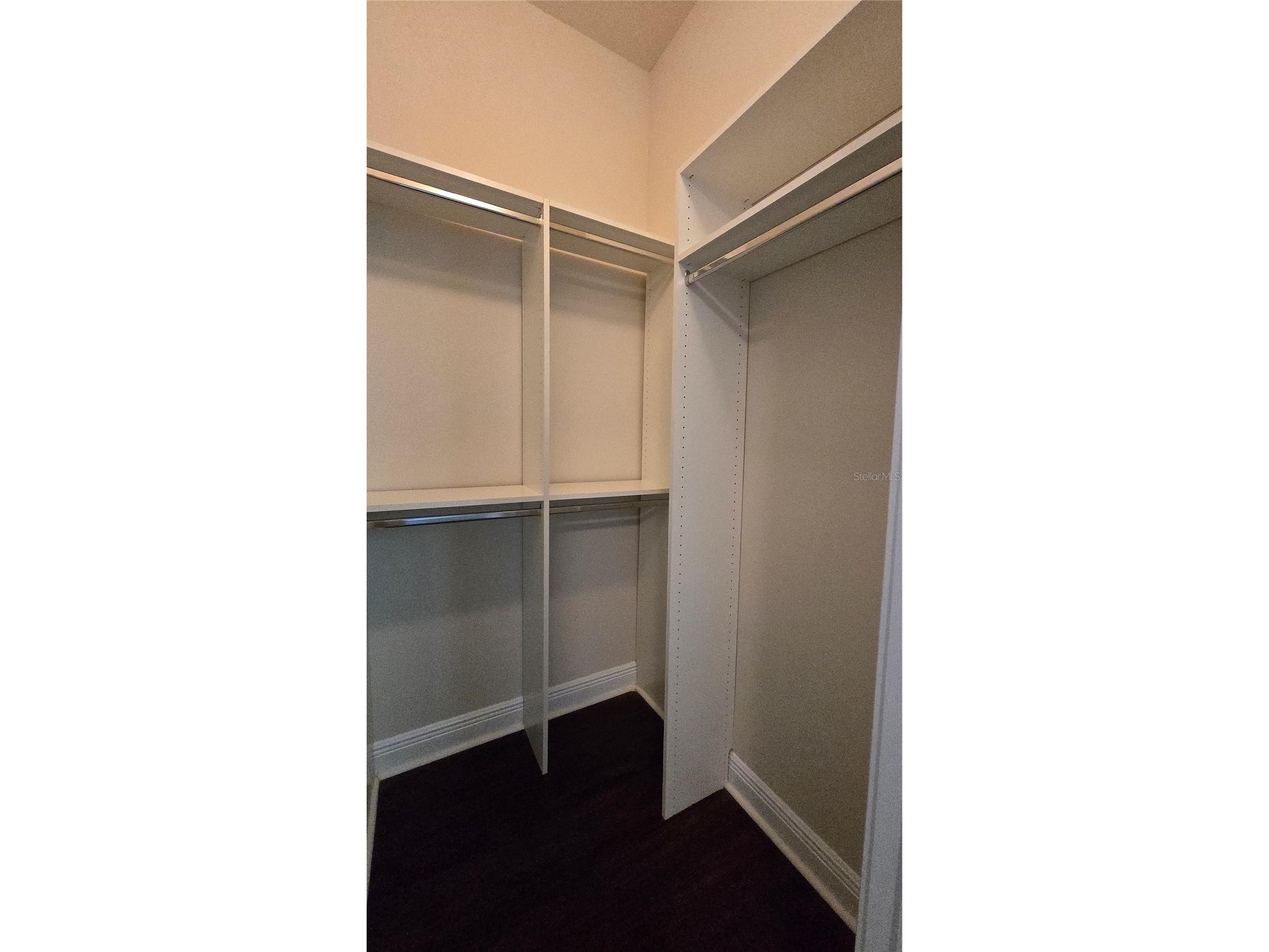 17514 Black Rail Street Windermere FL 34786 O6410722 image28