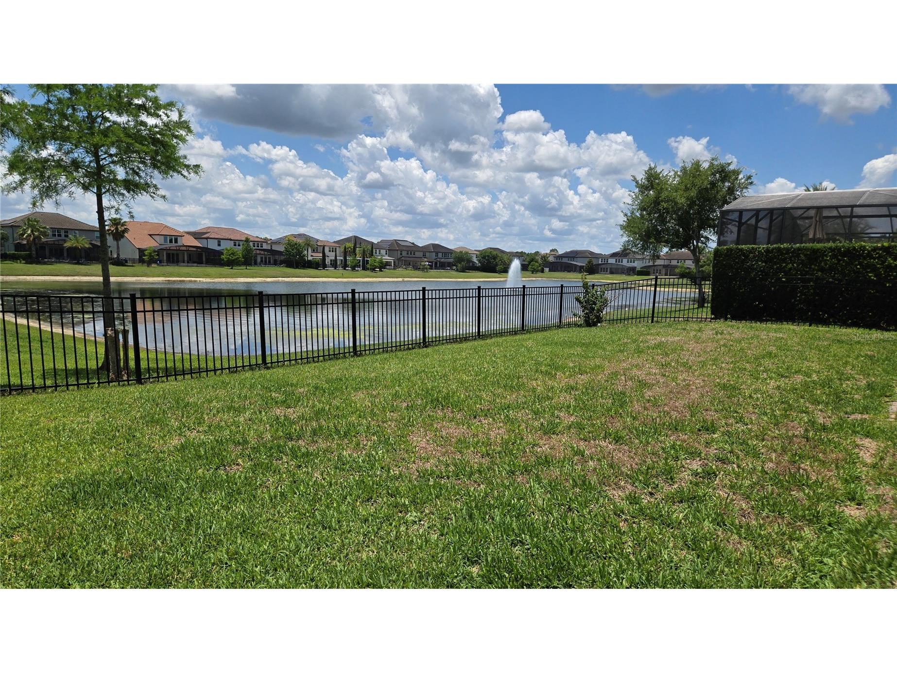 17514 Black Rail Street Windermere FL 34786 O6410722 image4