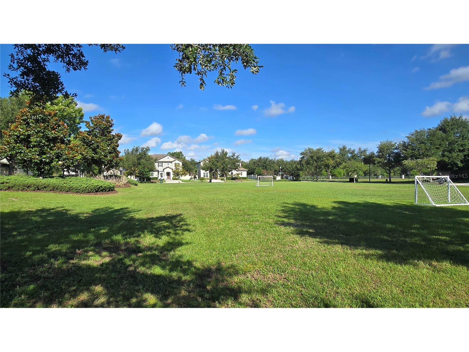17514 Black Rail Street Windermere FL 34786 O6410722 image41