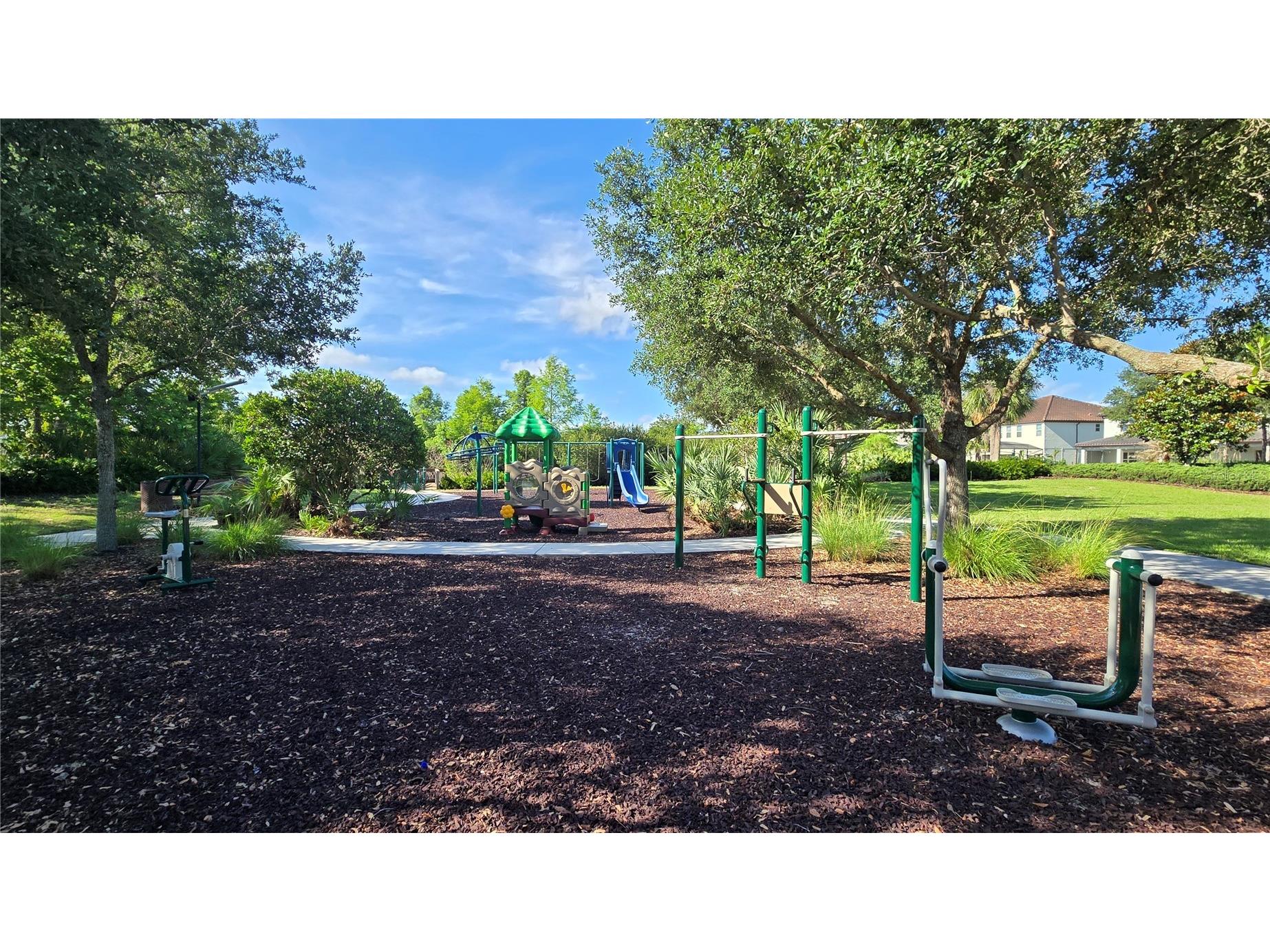 17514 Black Rail Street Windermere FL 34786 O6410722 image42