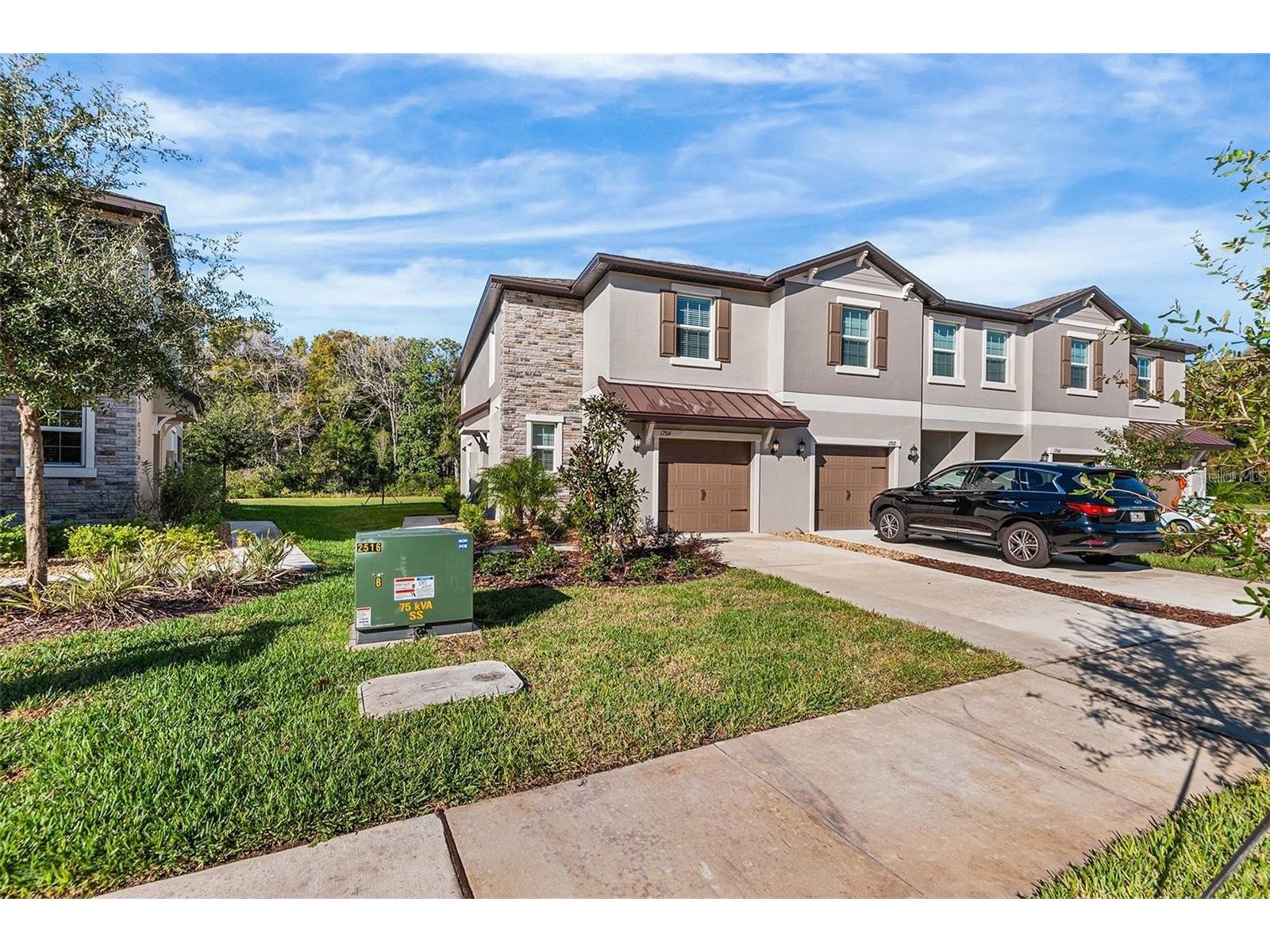 17514 Nectar Flume Drive Land O Lakes FL 34638 O6413370 image1