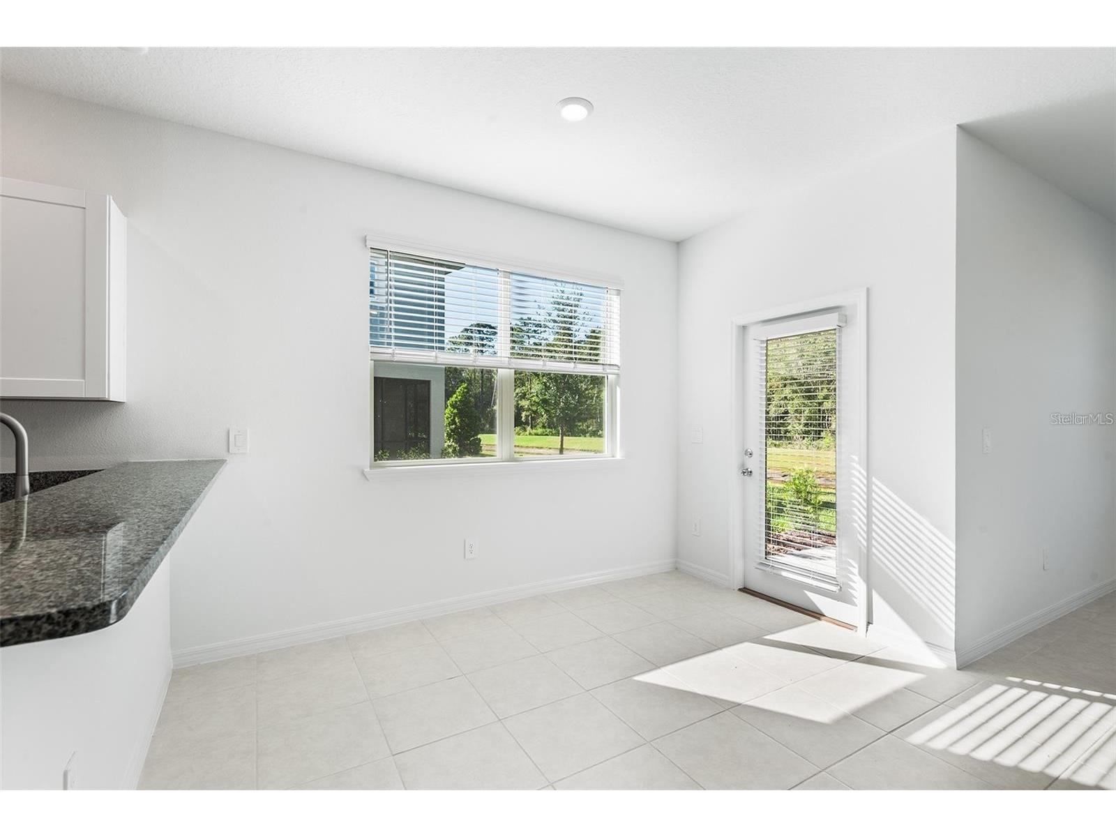 17514 Nectar Flume Drive Land O Lakes FL 34638 O6413370 image6