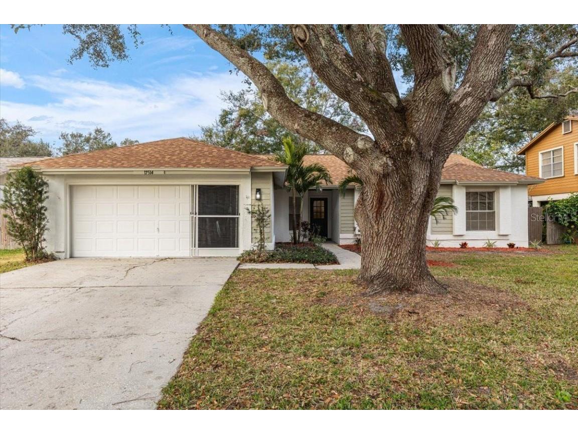 17514 Shadyside Circle Lutz FL 33549 TB8339589 image1