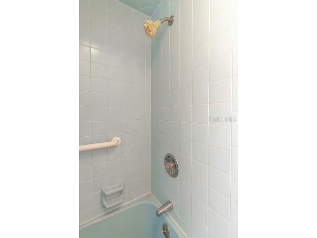 17515 Lakeshore Road Lutz FL 33558 TB8445007 image39