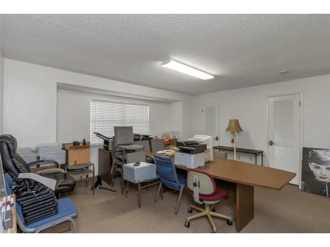 17515 Lakeshore Road Lutz FL 33558 TB8445230 image28