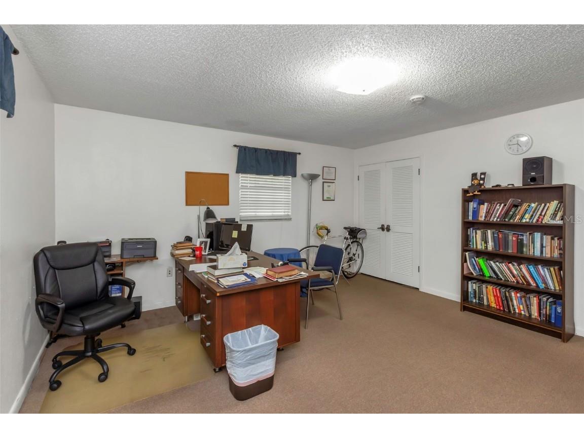 17515 Lakeshore Road Lutz FL 33558 TB8445230 image45