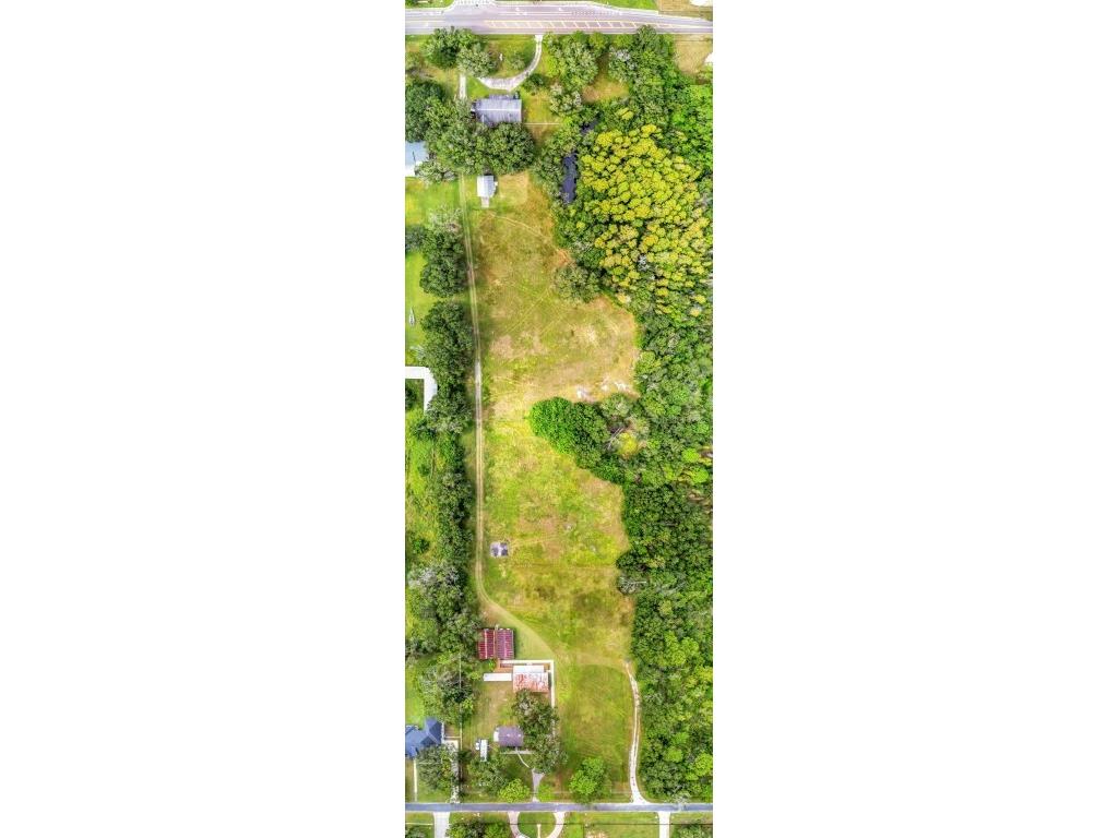 17515 Lakeshore Road Lutz FL 33558 TB8445230 image52