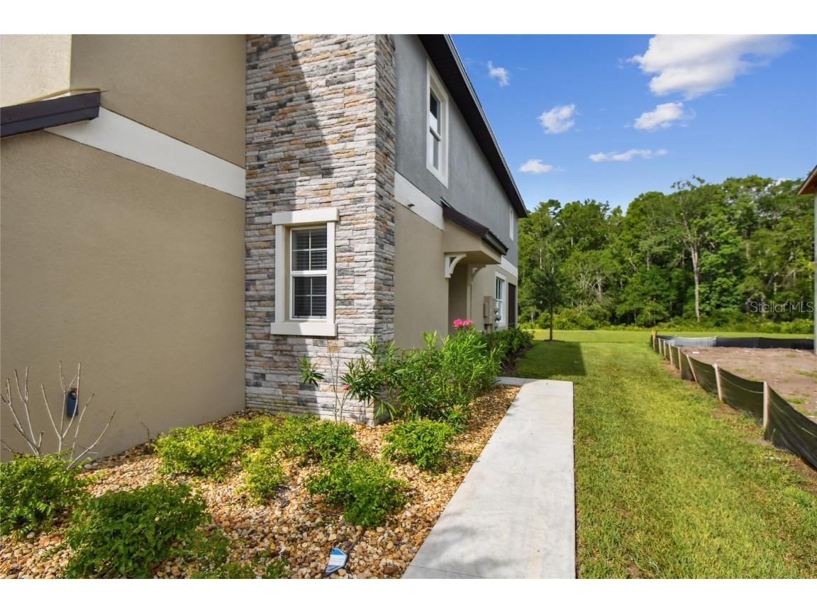 17516 Nectar Flume Drive Land O Lakes FL 34638 TB8402363 image2