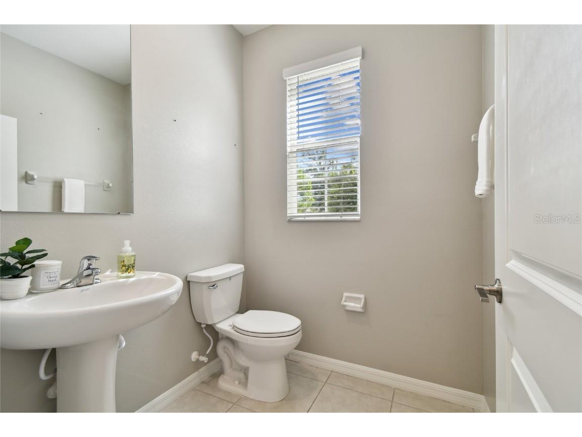 17516 Nectar Flume Drive Land O Lakes FL 34638 TB8402363 image28