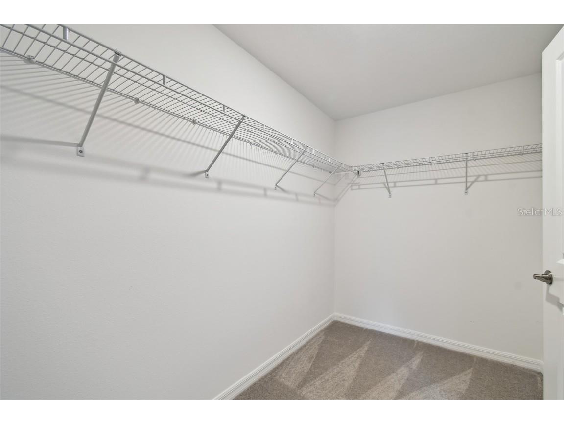 17516 Nectar Flume Drive Land O Lakes FL 34638 TB8402363 image41