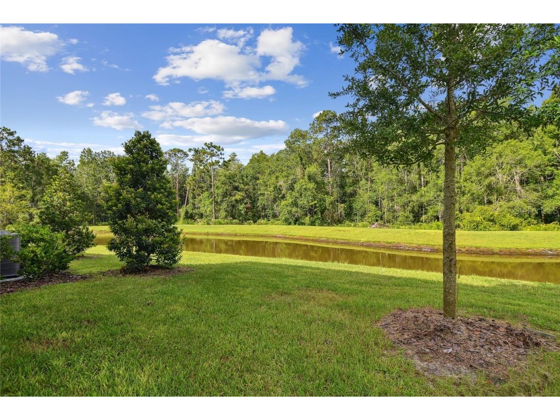 17516 Nectar Flume Drive Land O Lakes FL 34638 TB8402363 image57