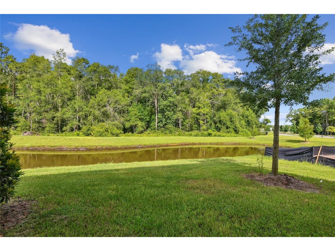 17516 Nectar Flume Drive Land O Lakes FL 34638 TB8402363 image58