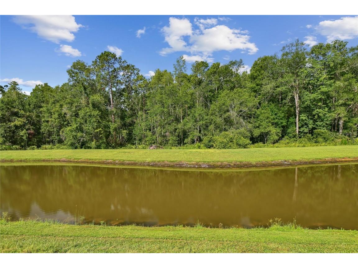17516 Nectar Flume Drive Land O Lakes FL 34638 TB8402363 image59