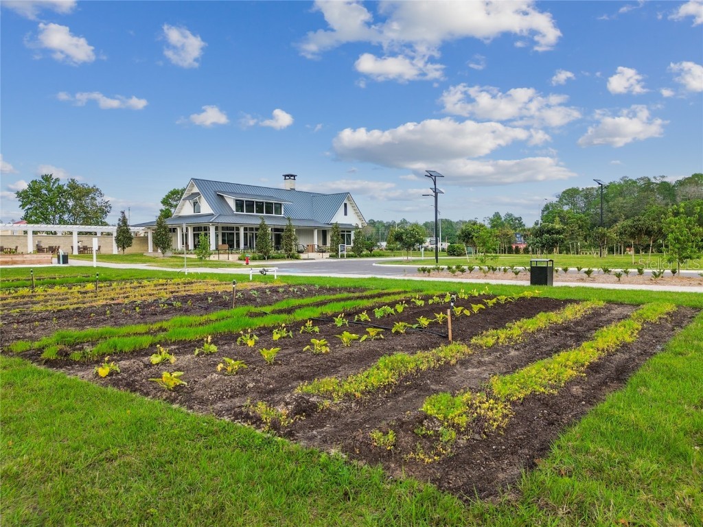 17516 Nectar Flume Drive Land O Lakes FL 34638 TB8402363 image69