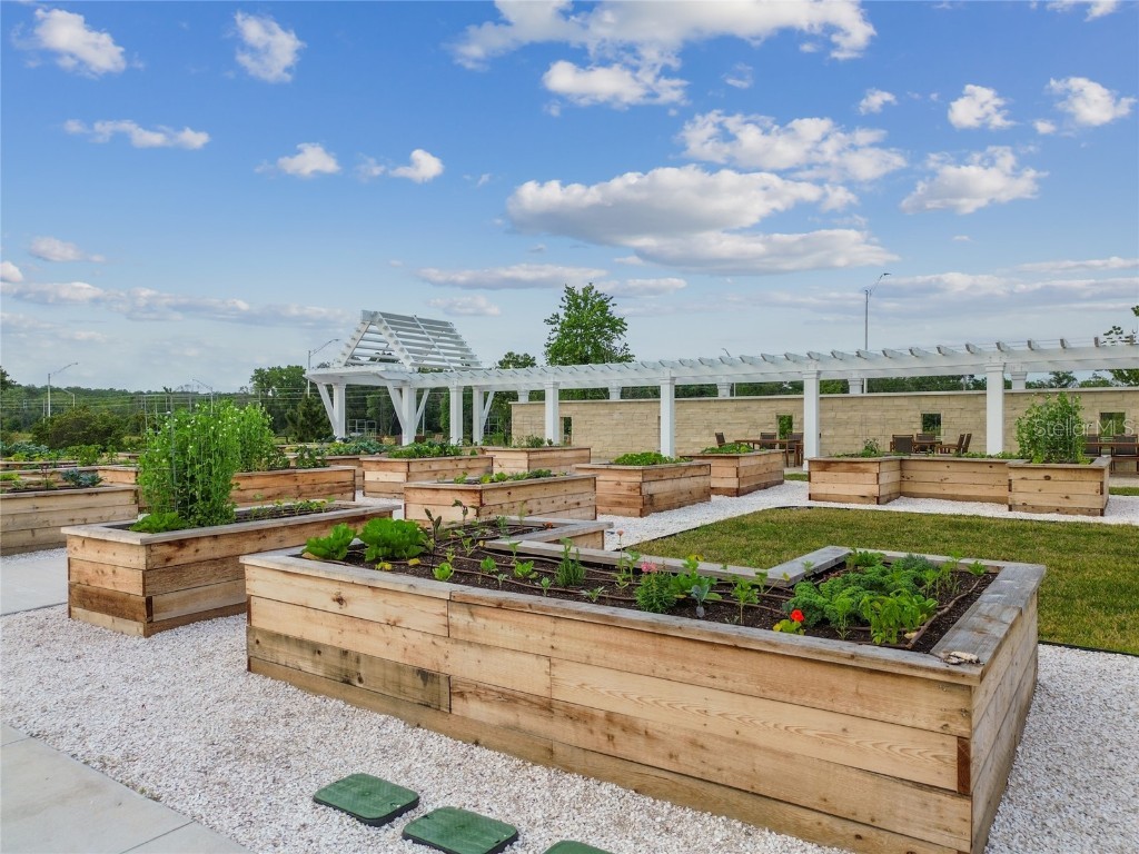 17516 Nectar Flume Drive Land O Lakes FL 34638 TB8402363 image70