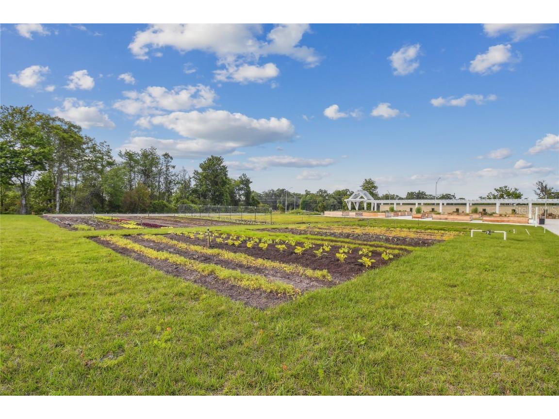 17516 Nectar Flume Drive Land O Lakes FL 34638 TB8402363 image71