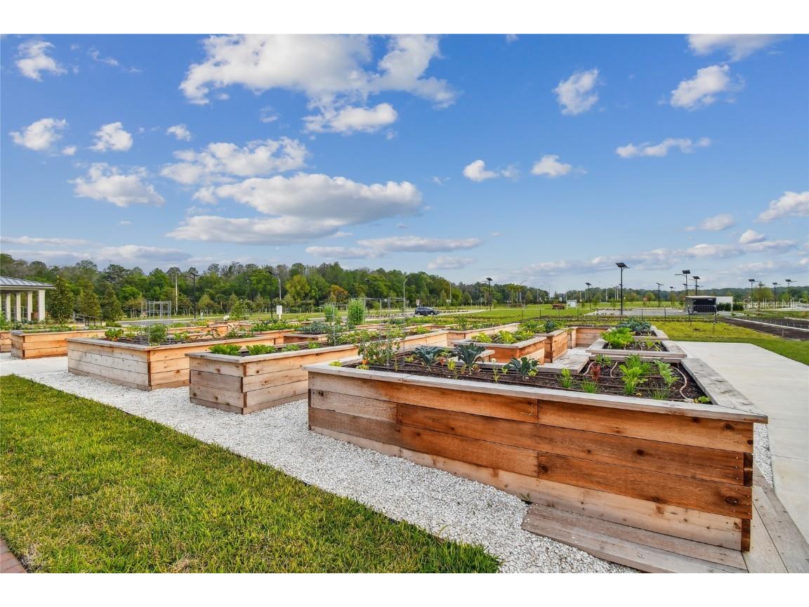 17516 Nectar Flume Drive Land O Lakes FL 34638 TB8402363 image72