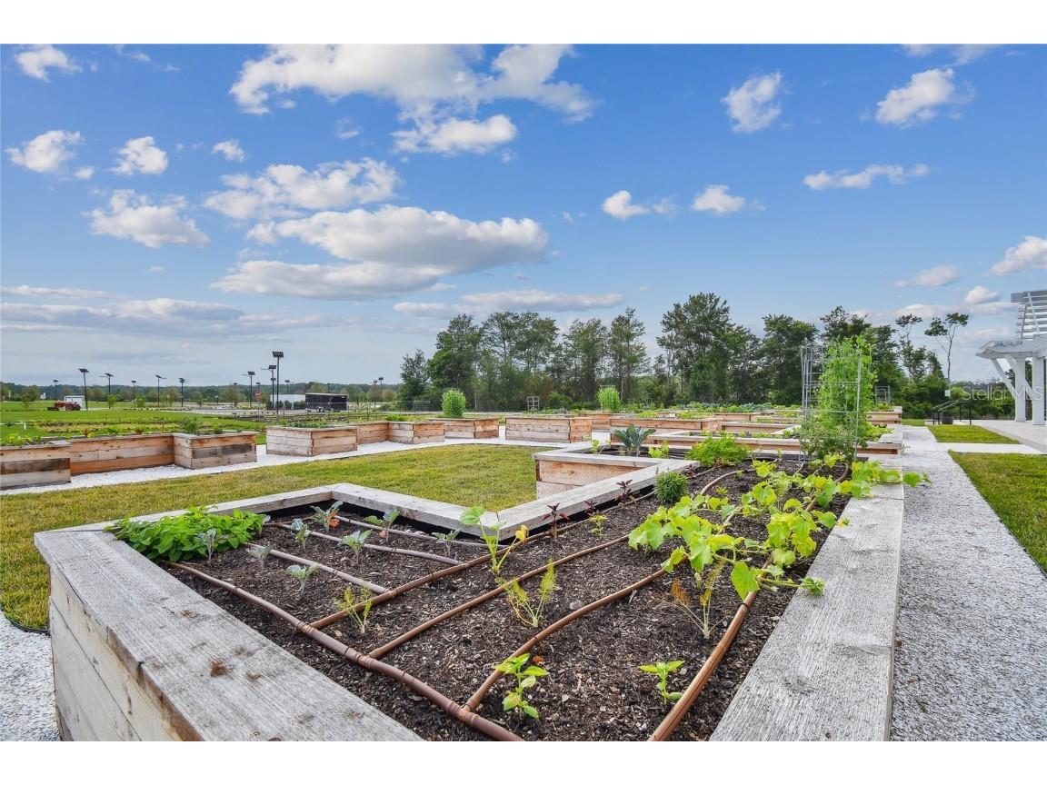 17516 Nectar Flume Drive Land O Lakes FL 34638 TB8402363 image73