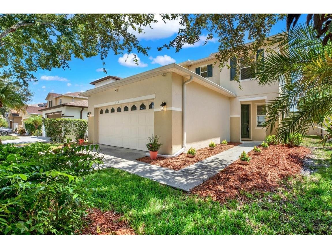 17516 Queensland Street Land O Lakes FL 34638 T3540521 image1