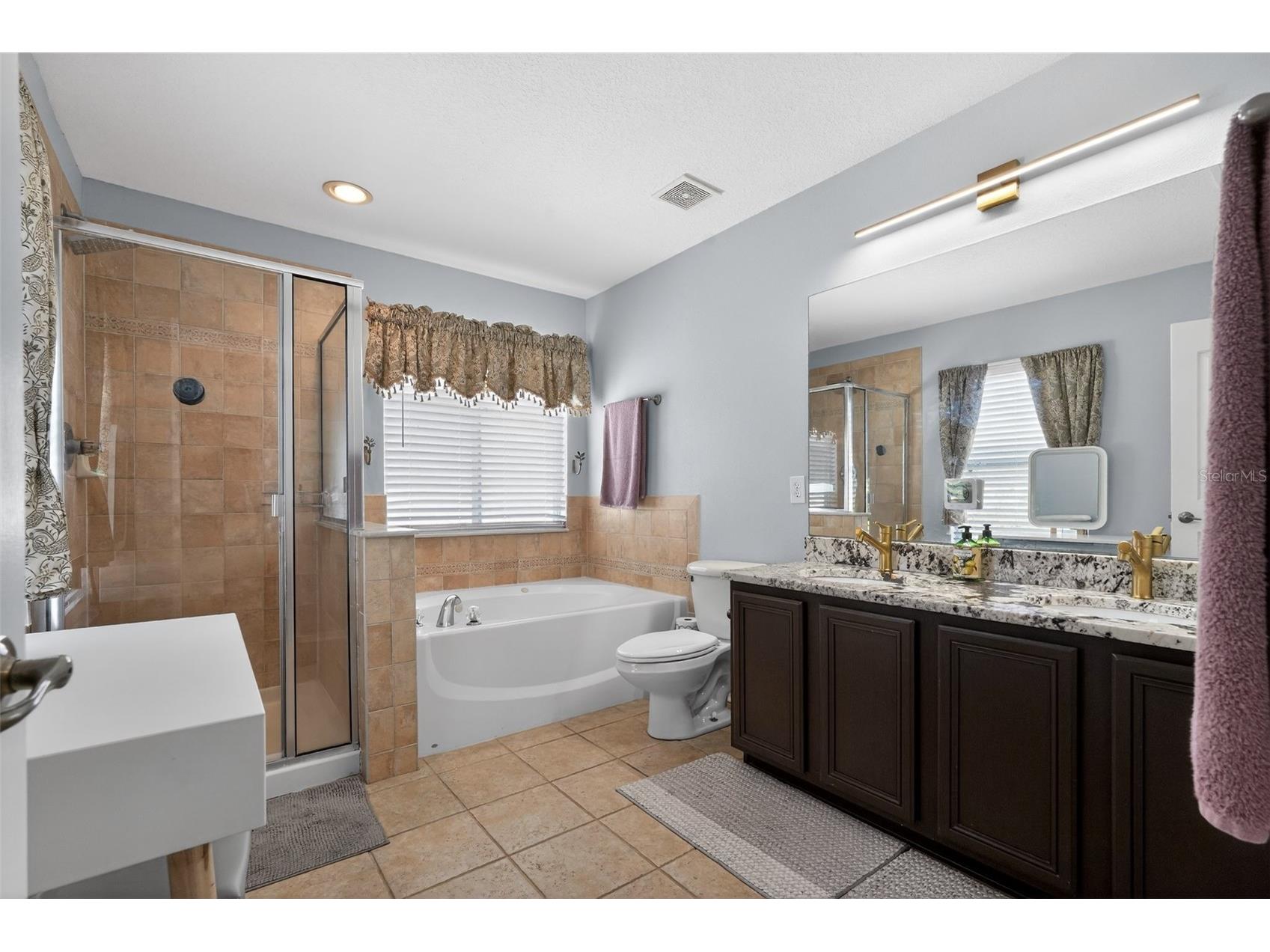 17517 Glenapp Drive Land O Lakes FL 34638 TB8494167 image27