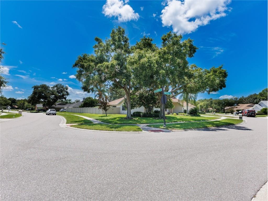 17519 Tally Ho Court Odessa FL 33556 U8254901 image70