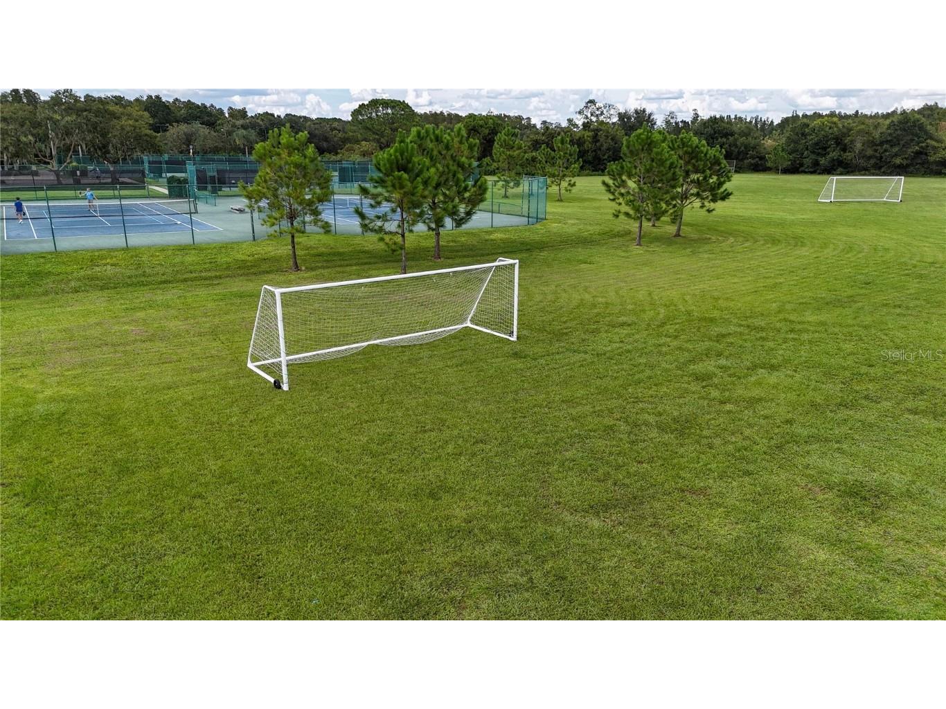 17519 Tally Ho Court Odessa FL 33556 U8254901 image78