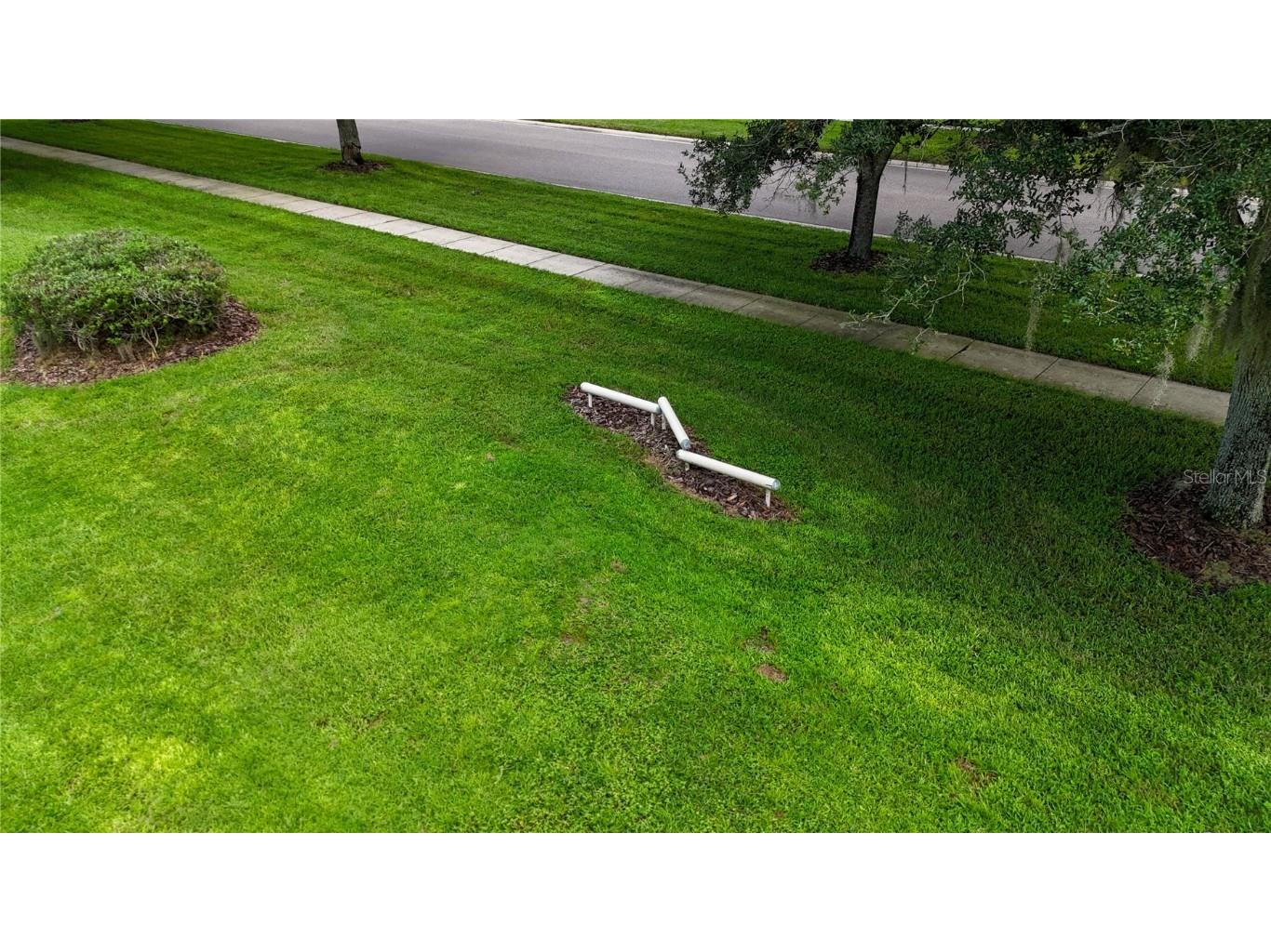 17519 Tally Ho Court Odessa FL 33556 U8254901 image81