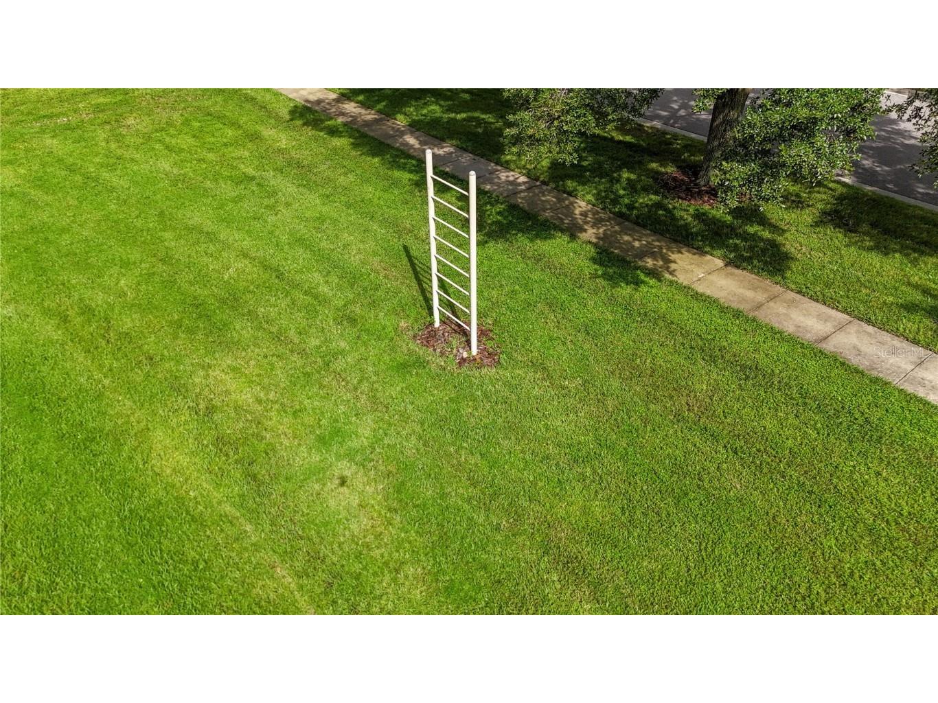 17519 Tally Ho Court Odessa FL 33556 U8254901 image85