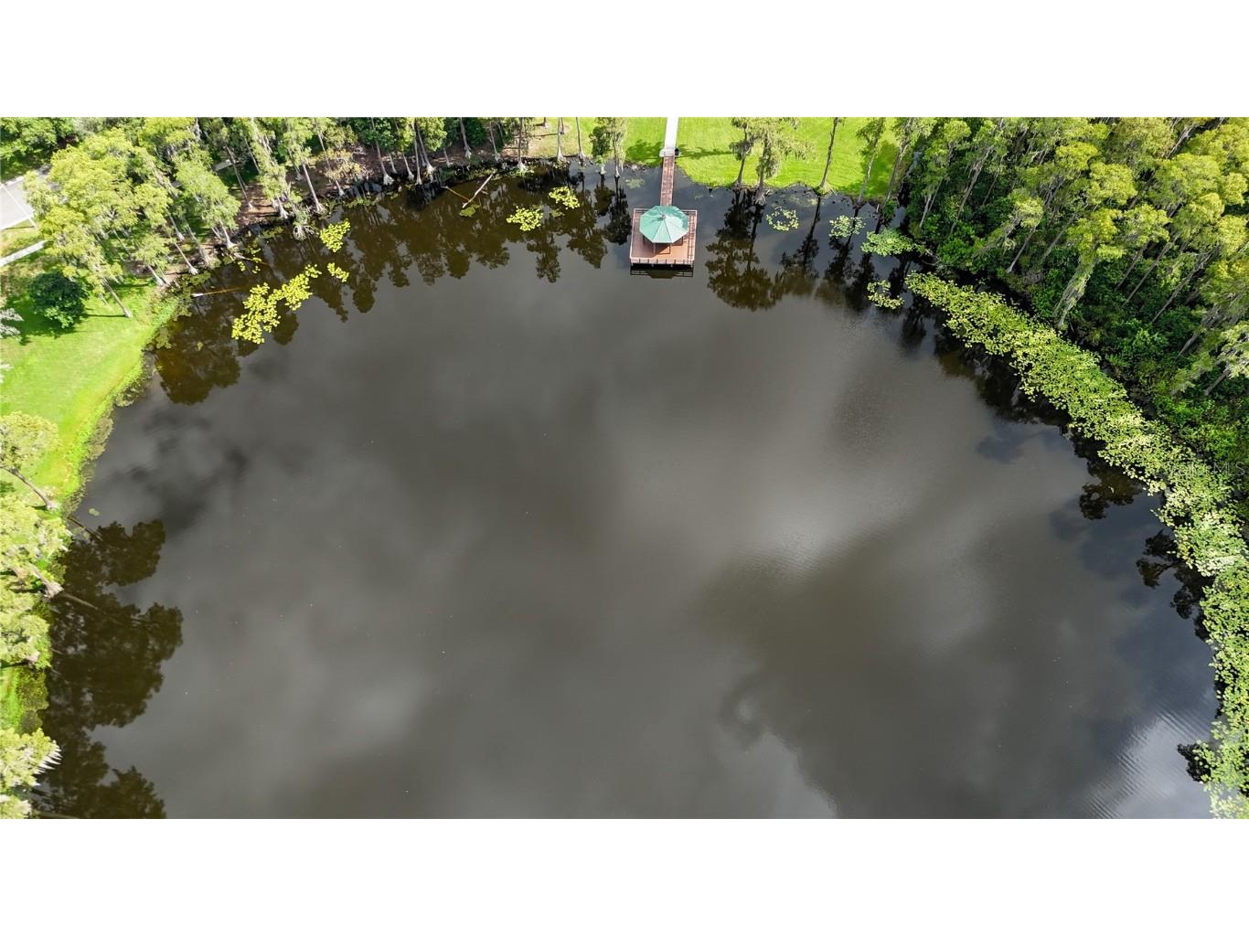 17519 Tally Ho Court Odessa FL 33556 U8254901 image87