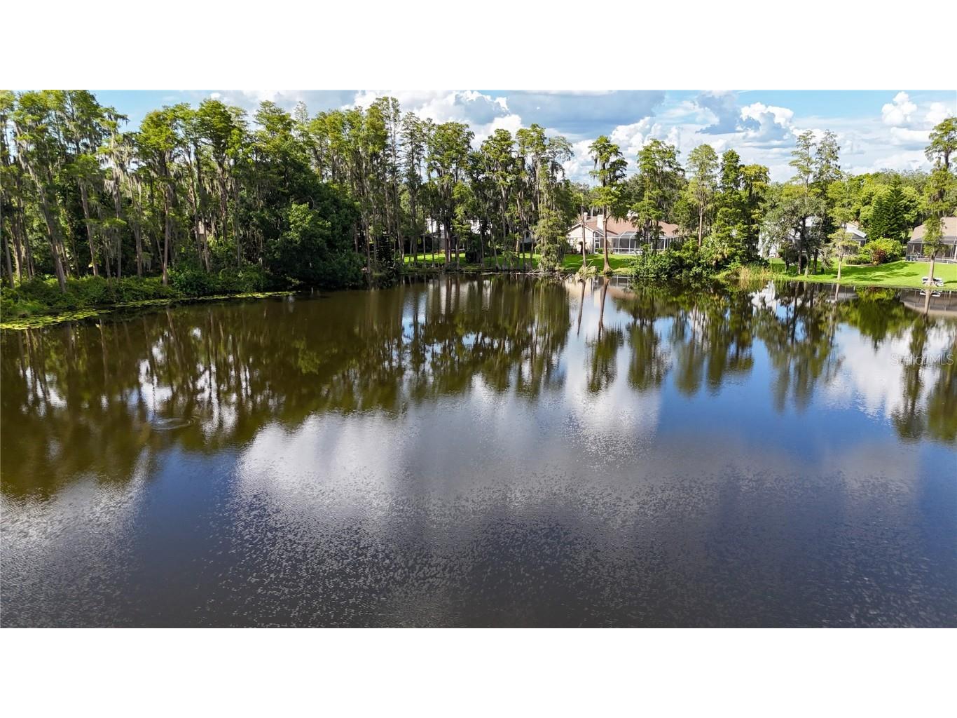 17519 Tally Ho Court Odessa FL 33556 U8254901 image89